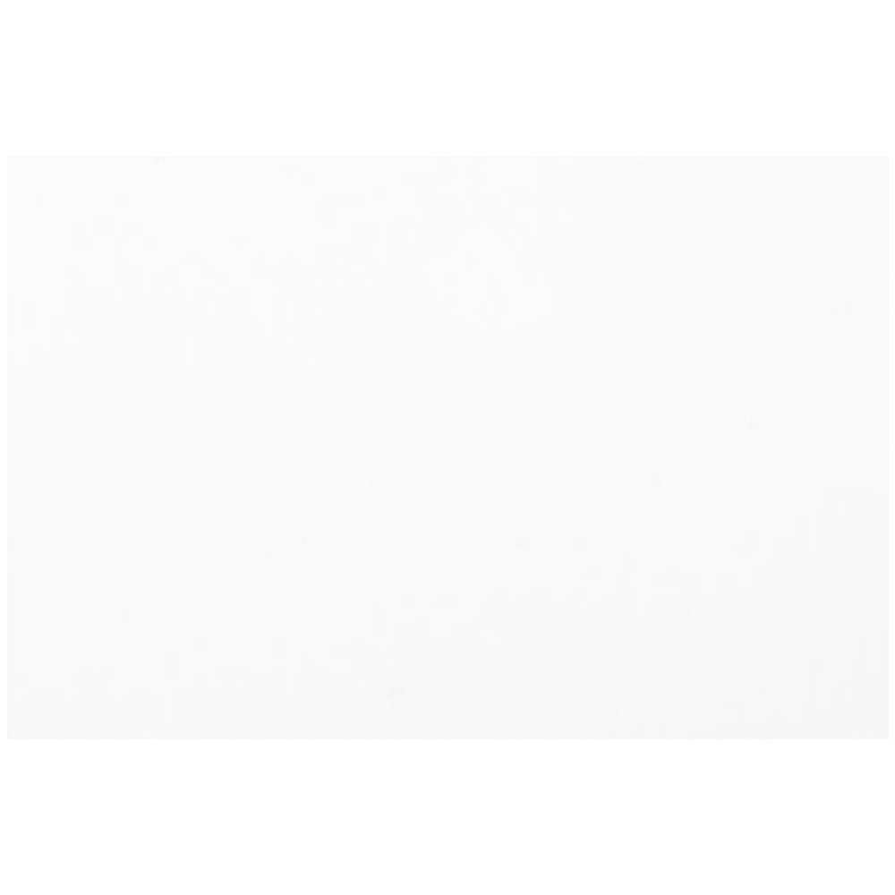 Краски акриловые Ладога (Невская палитра), 100 белила цинковые, 220 мл., банка - 3