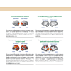Книга "Тренажер для мозга на 60 дней. Развивай внимание, память, логику, интеллект в любом возрасте!", Рюта Кавашима - 7