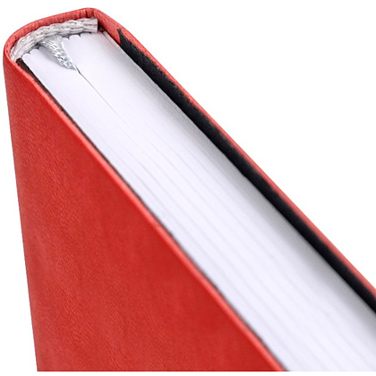 Ежедневник недатированный "Tucson Flex", А5, 272 страницы, красный - 4