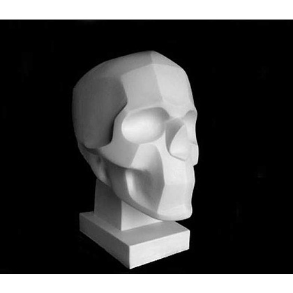 Гипсовая модель "Обрубовка черепа по Браммесу"