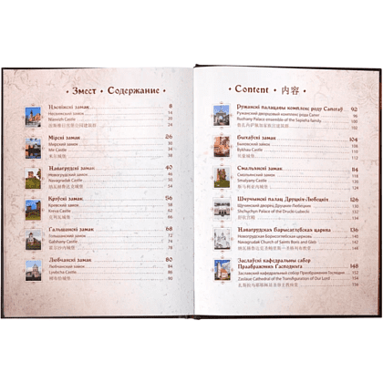 Книга "Язэп Драздовiч" (кожаный переплет), Надзея Усава - 19