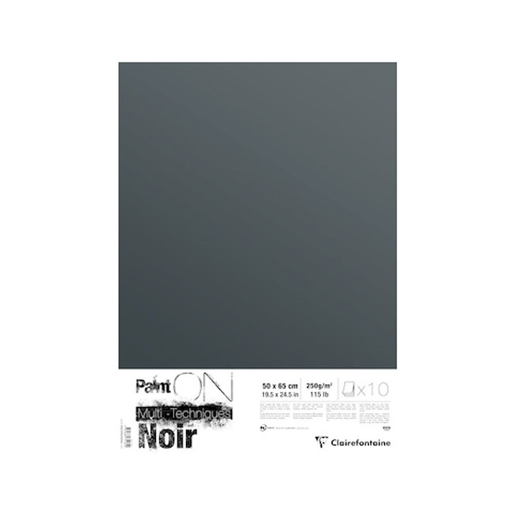 Бумага для смешанных техник "Paint'On", 50x65 см, 250 г/м2, черный