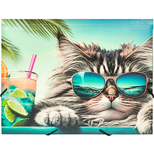 Папка на резинках "Chillout cat"