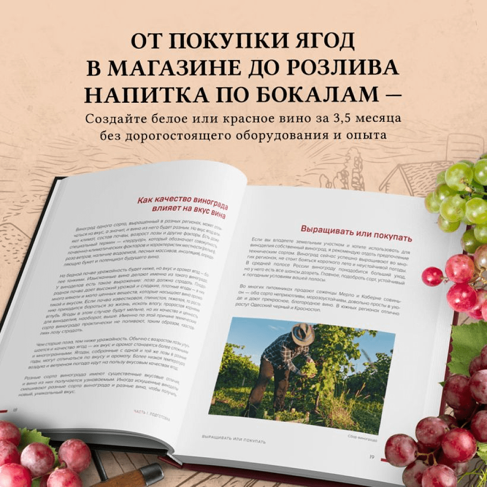 Книга "Домашнее виноделие от А до Я: виноградное вино. Пошаговое руководство", Богачев Е.  - 3