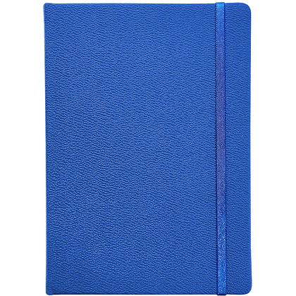 Книга записная InFolio "Lifestyle", A5, 96 листов, клетка, синий