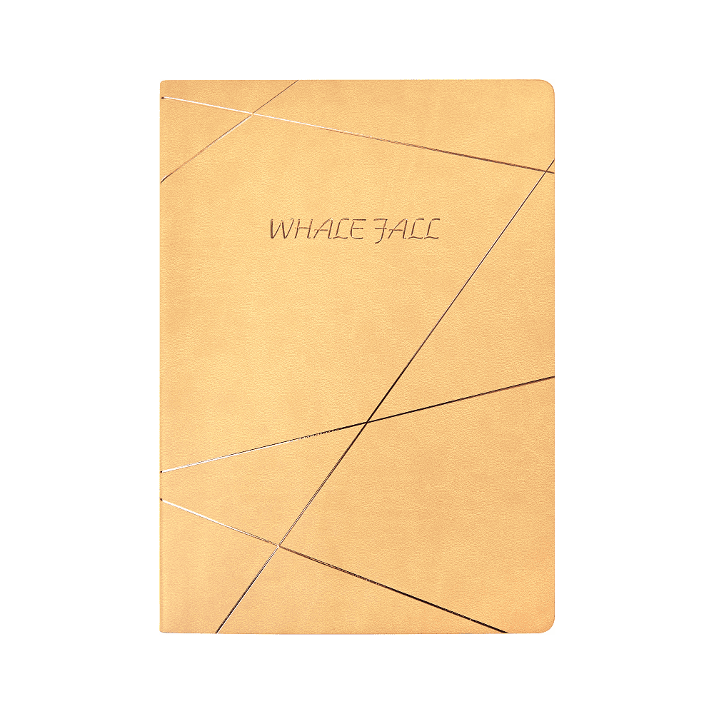 Блокнот "20D076", А4, 96 листов, бежевый