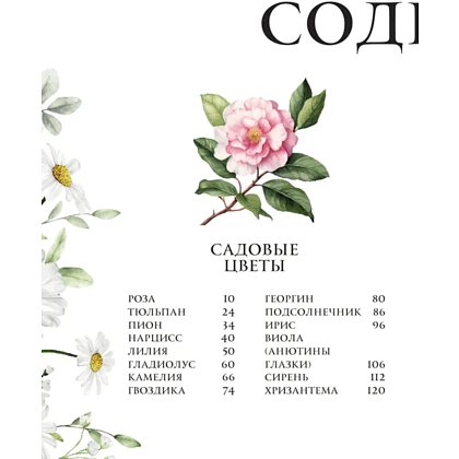 Книга "Цветы в искусстве. Воспевание красоты" - 3