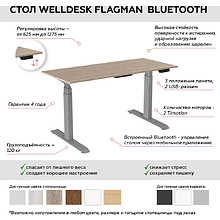 Комплект WellDesk Flagman Bluetooth, (регулируемый по высоте каркас арт. 9050840 и столешница арт. 9031918)