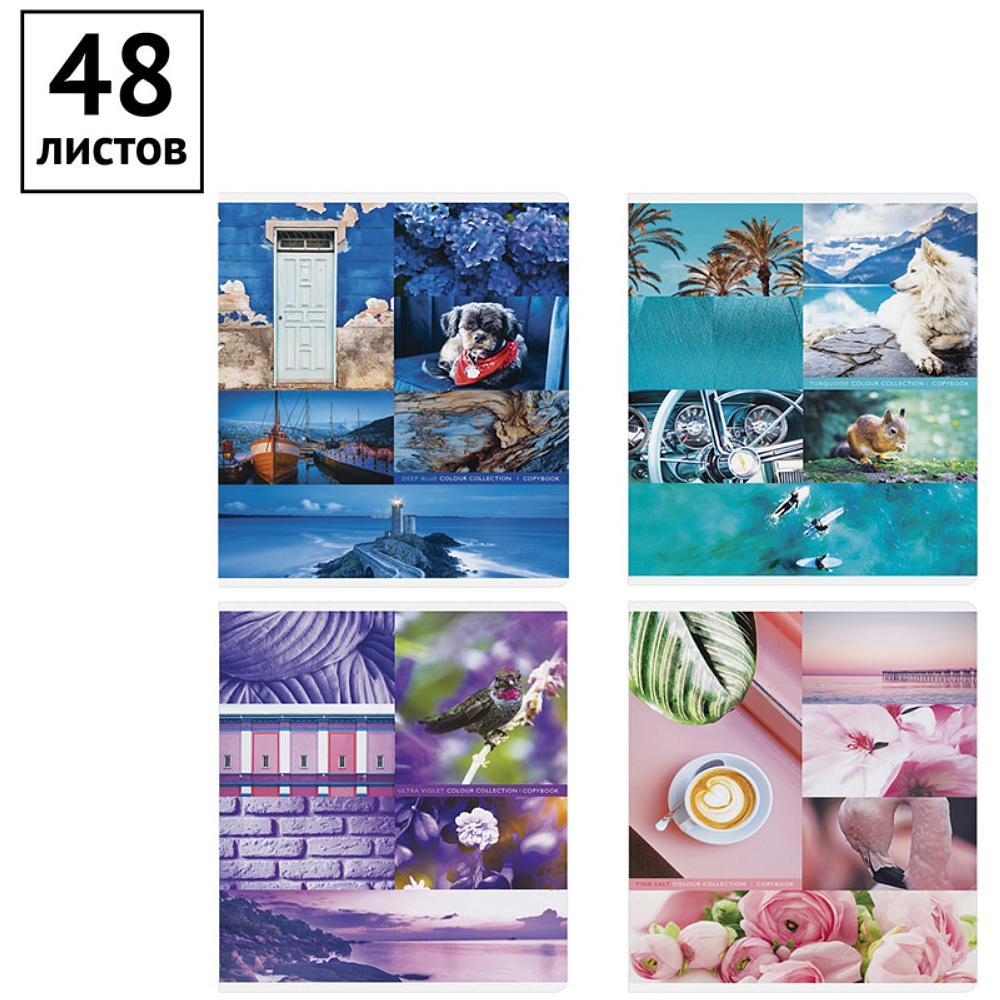 Тетрадь "Стиль. Colourful collage", А5, 48 листов, в клетку, ассорти - 2