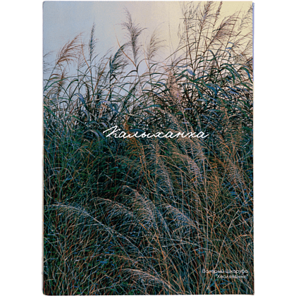 Обложка для паспорта "Волнение", Валерий Шкарубо, натуральная кожа, разноцветный