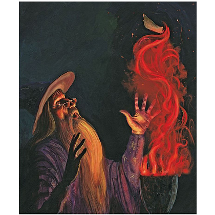 Книга "Гарри Поттер и Кубок Огня" с цветными иллюстрациями, Роулинг Дж.К. - 6