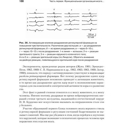 Книга "Основы нейропсихологии", Александр Лурия - 12
