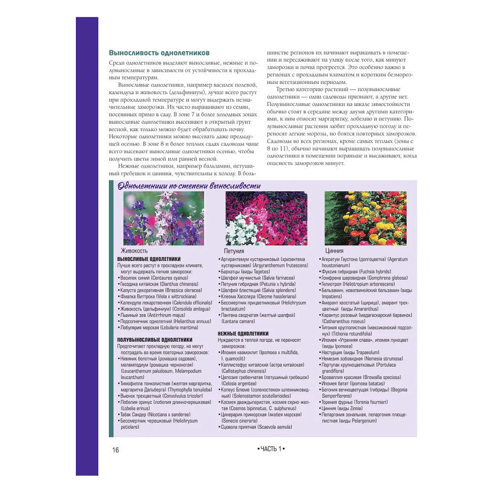 Книга "Библия садовых цветов. Однолетники, многолетники и луковичные. Советы по посадке, выращиванию и уходу" - 11
