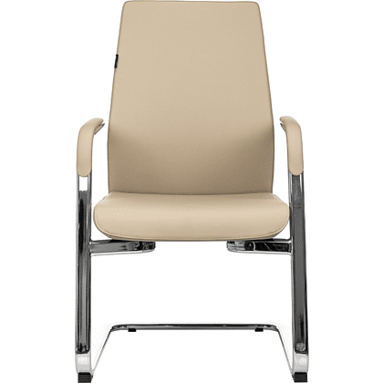 Кресло на полозьях Бюрократ "_JONS-LOW-V", натуральная кожа, бежевый, металл хром - 2