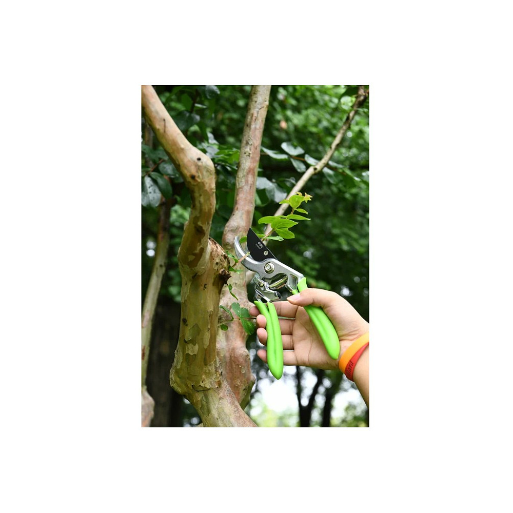 Секатор садовый цельнокованный Deli GS EDL580207, пружина, тефлон, 215 мм., черный, зеленый - 14
