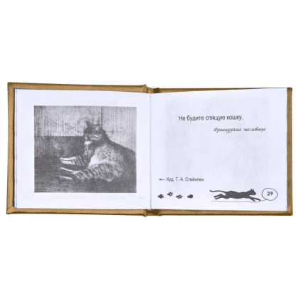 Книга-мини "Чудесная кошка, дарованная навеки", 67х59 мм, ассорти - 7