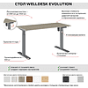 Комплект WellDesk Evolution (регулируемый по высоте каркас арт. 9022018 и столешница арт. 9031916) - 2