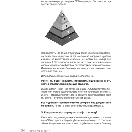 Книга "Быть нельзя казаться", Антон Петряков - 11