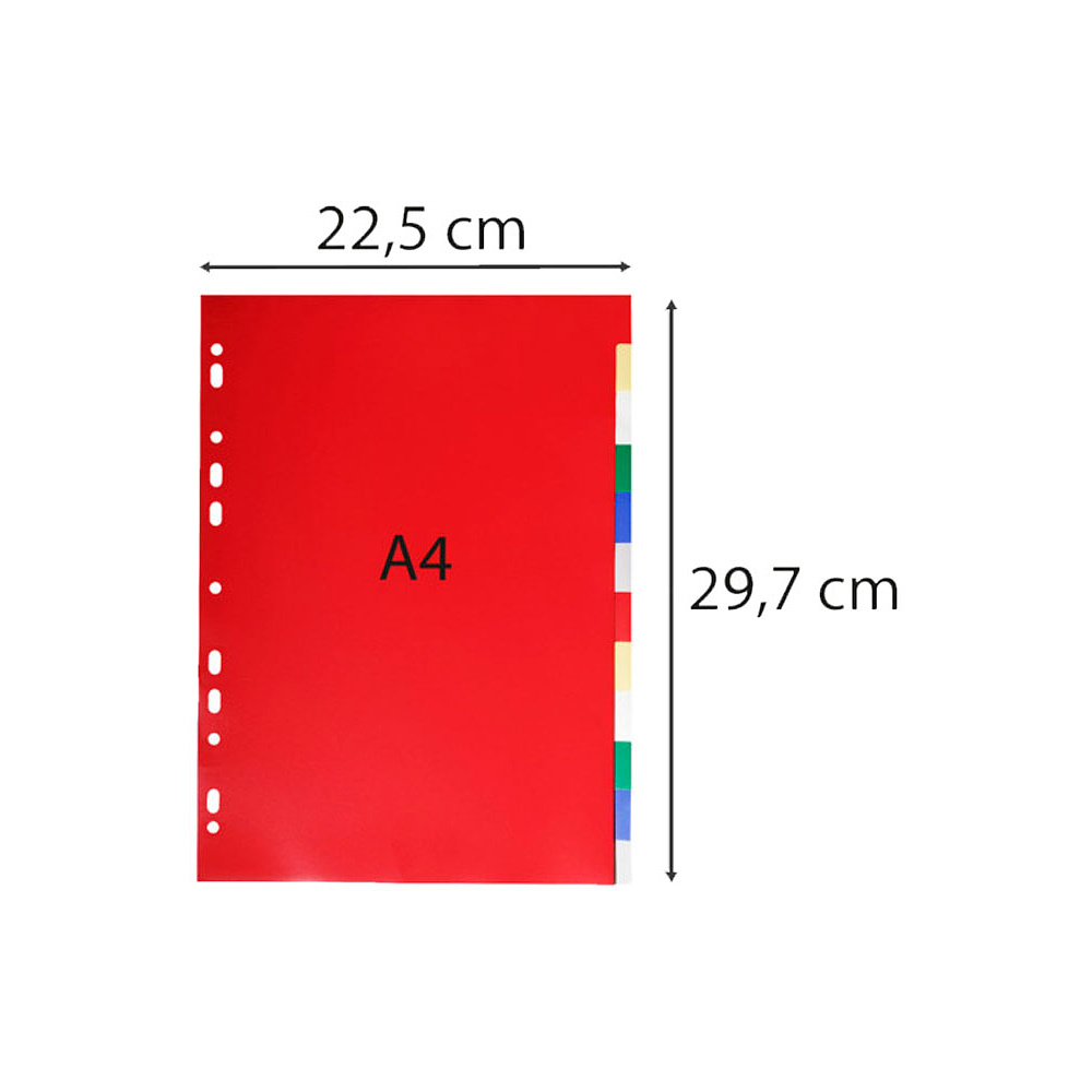 Разделитель "Exacompta economy", A4, 12 делений, ассорти - 3