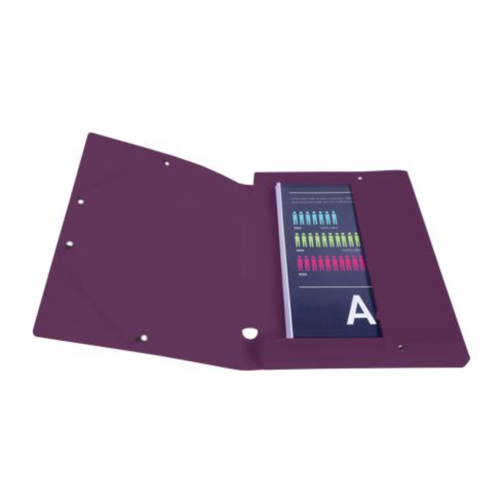 Папка-короб "Titane", 40 мм, на кнопке, ассорти - 6