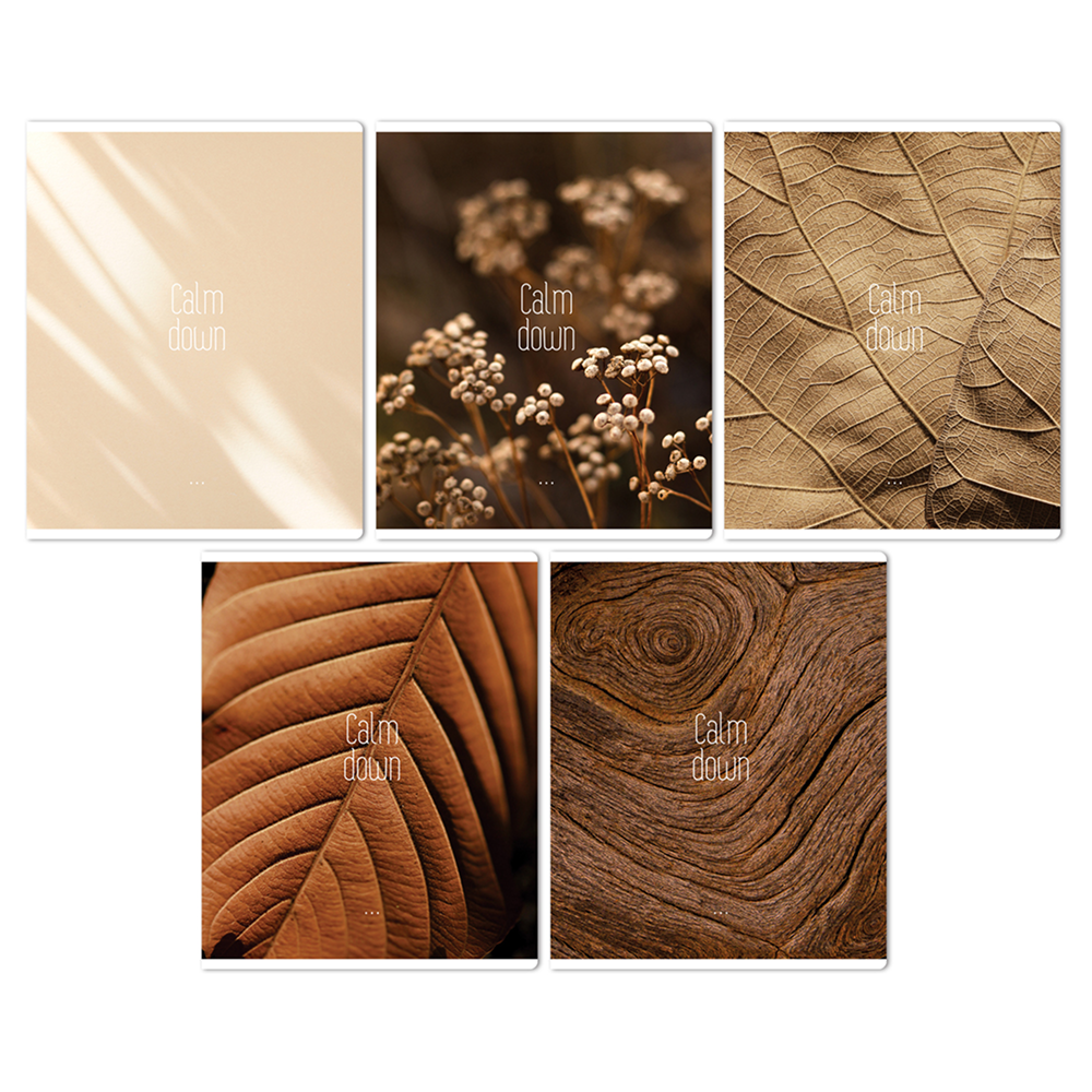 Тетрадь "Calm down"