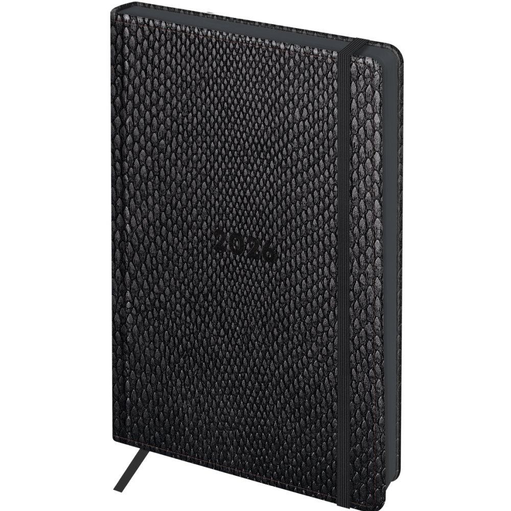 Ежедневник датированный "Python. Graphite"