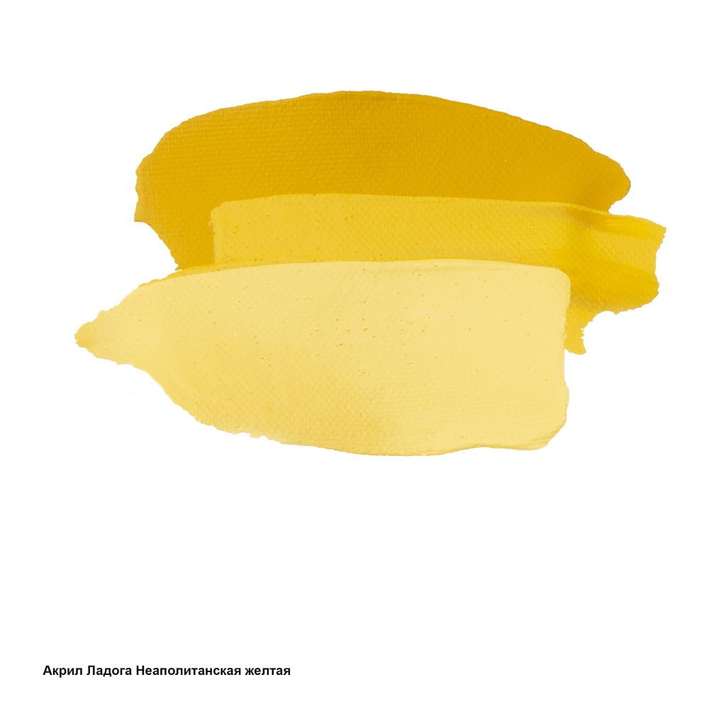 Краски акриловые "Ладога", 209 неаполитанская желтая , 46 мл., туба - 3