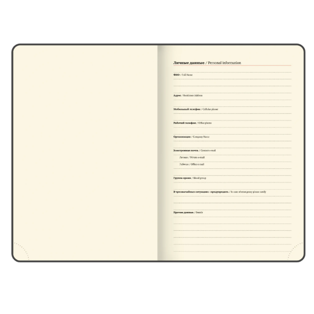 Ежедневник датированный "Accent", А5, 336 страниц, зеленый, 2026 - 5