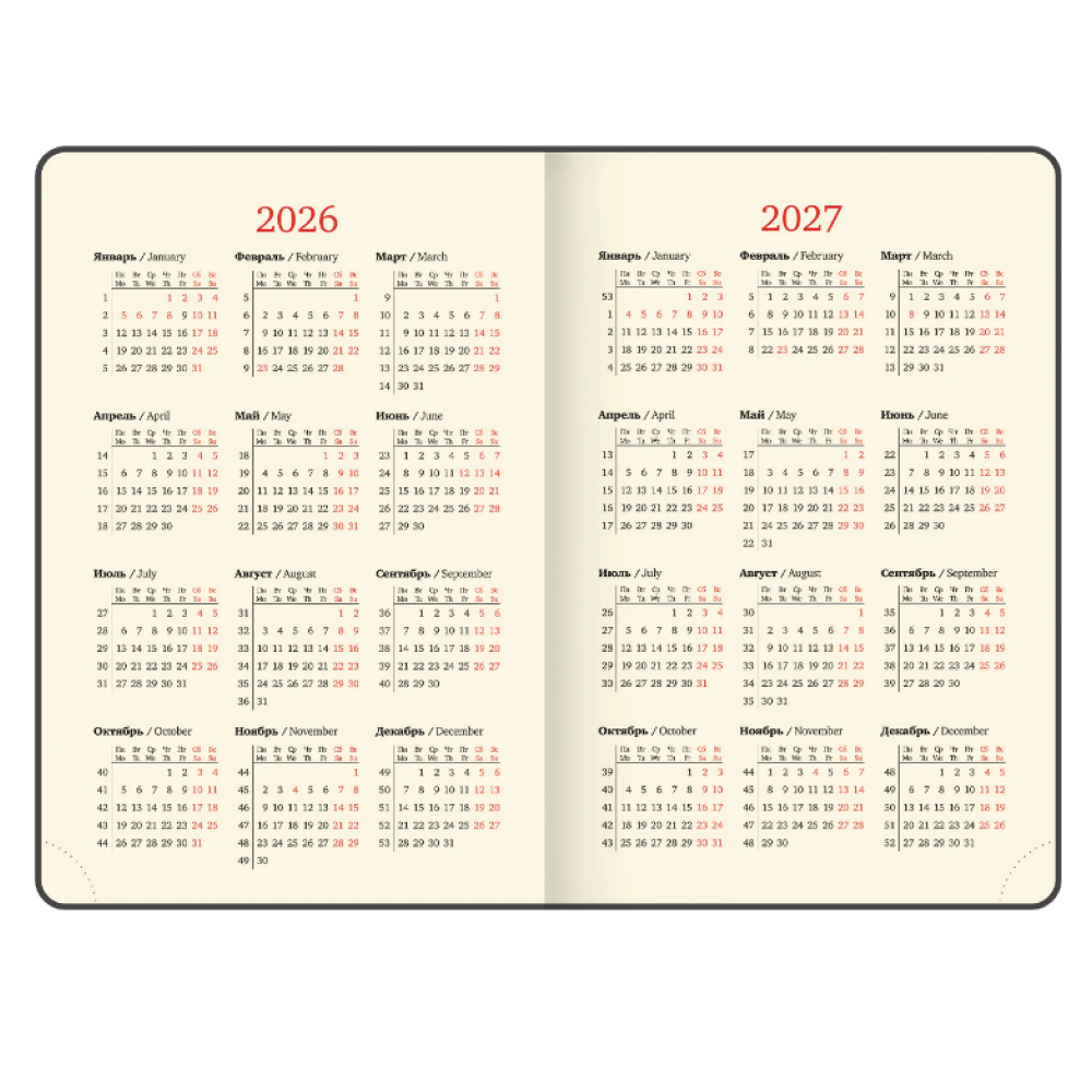 Ежедневник датированный "Accent", А5 , 336 страниц, серый, 2026 - 5