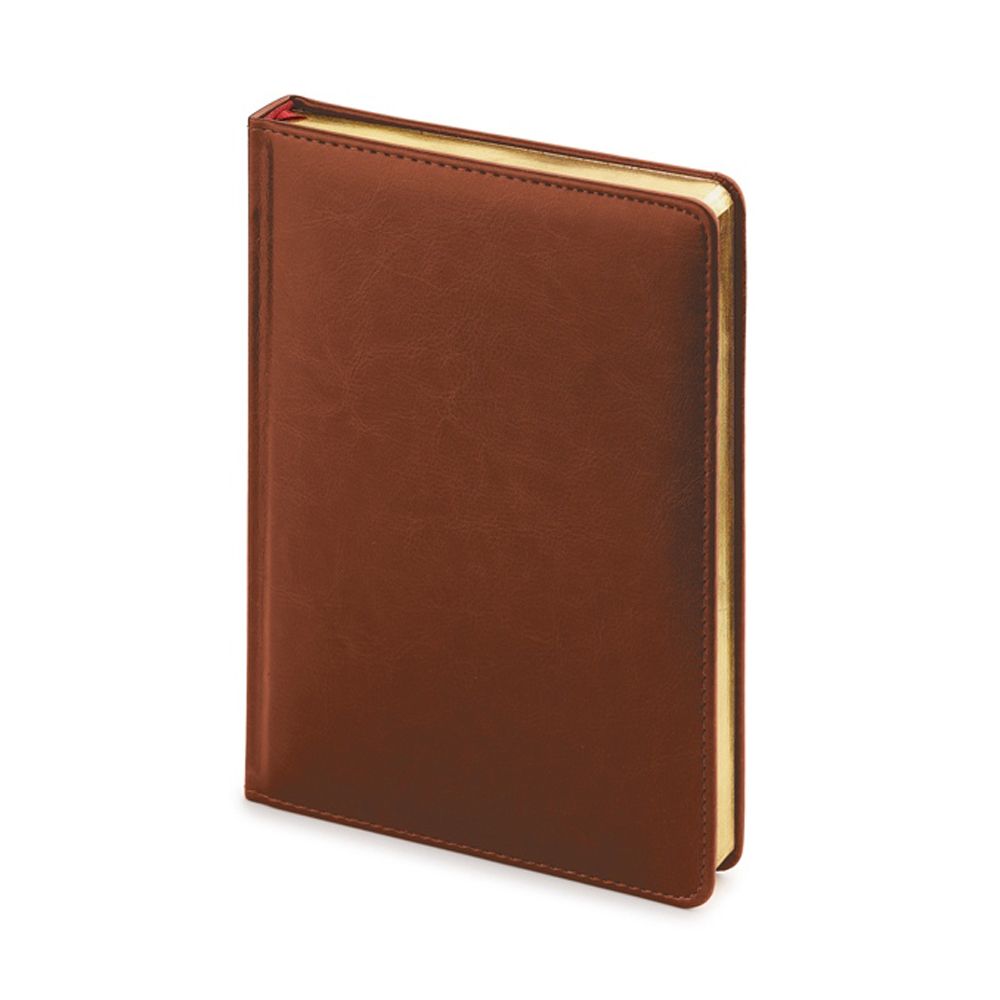 Ежедневник недатированный 