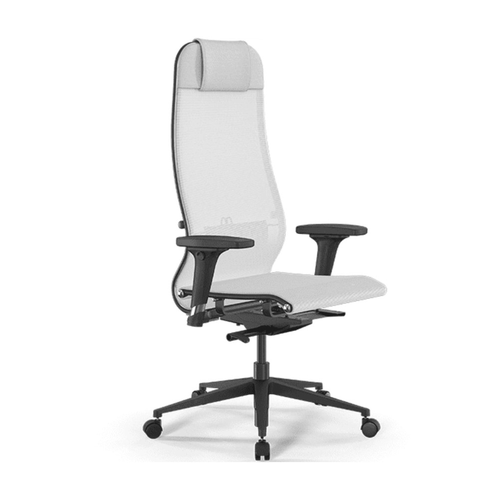 Кресло компьютерное ErgoLife SynchroSit 10 B1-104D