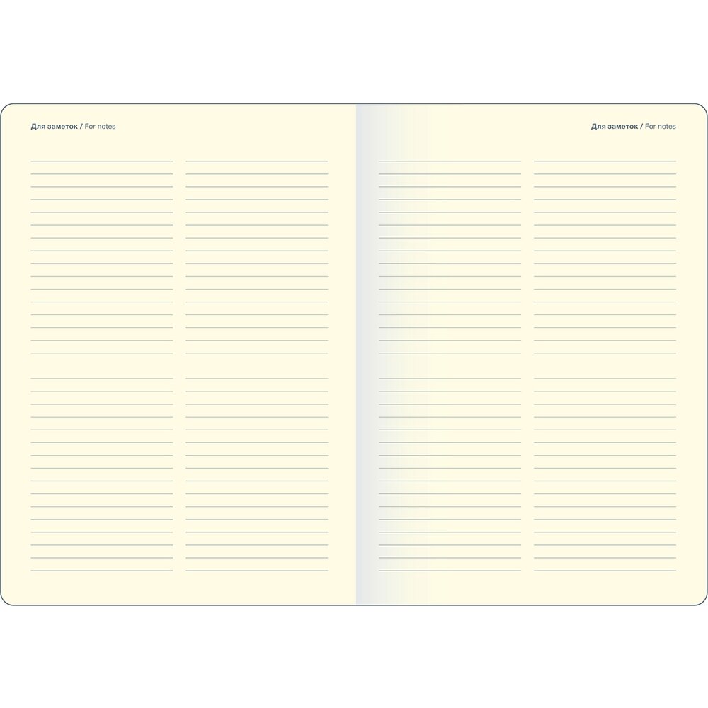 Ежедневник недатированный "Diary", А5, черный - 5