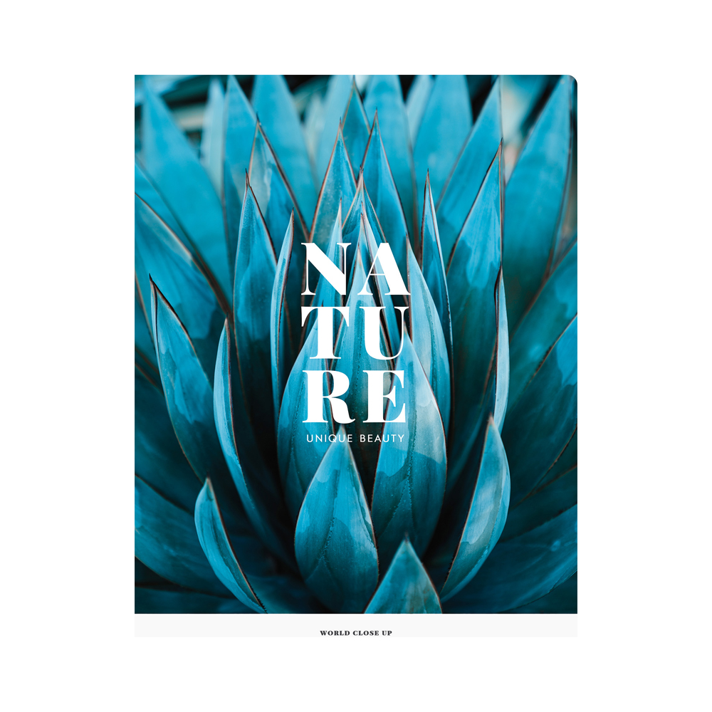 Тетрадь "Nature", А4, 48 листов, клетка, ассорти