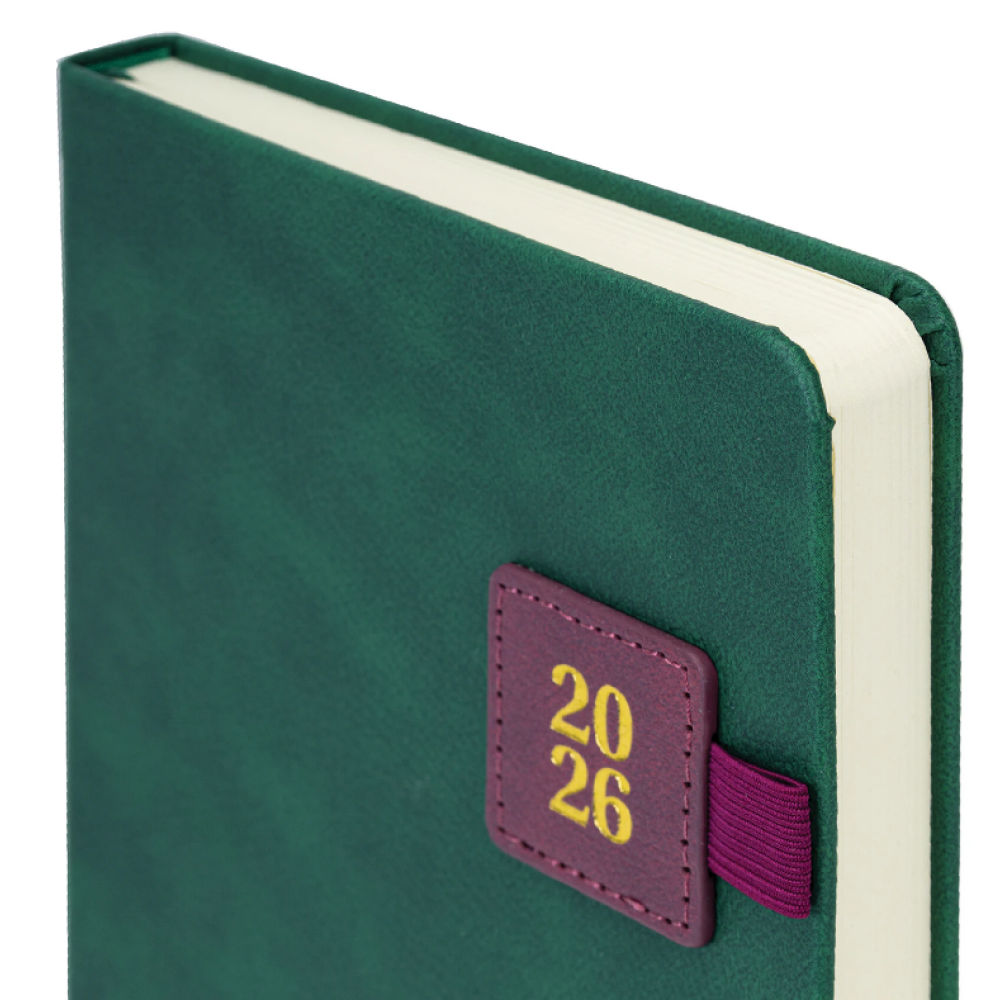 Ежедневник датированный "Accent", А5, 336 страниц, зеленый, 2026 - 3