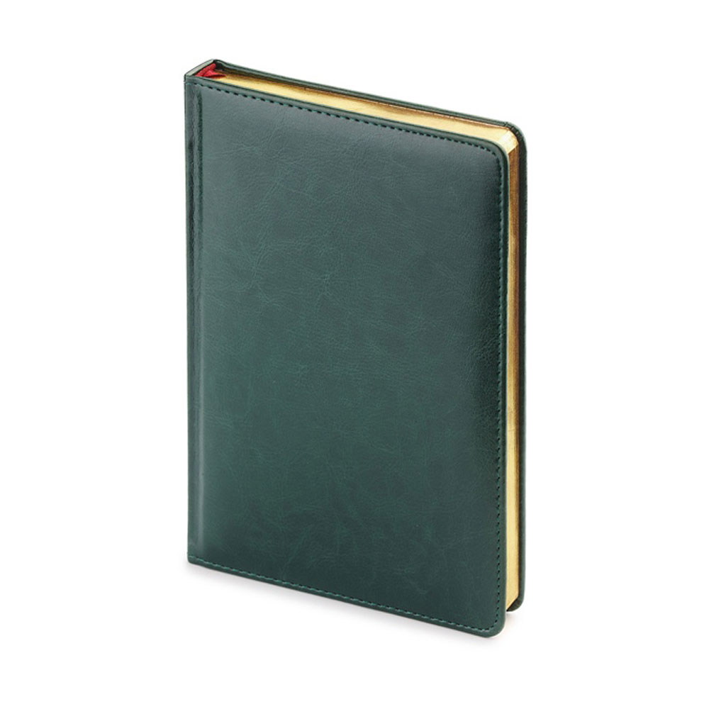 Ежедневник недатированный 