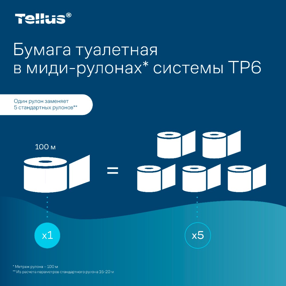 Бумага туалетная Tellus Комфорт TP6, в миди-рулонах, 100 м, 2 слоя - 10