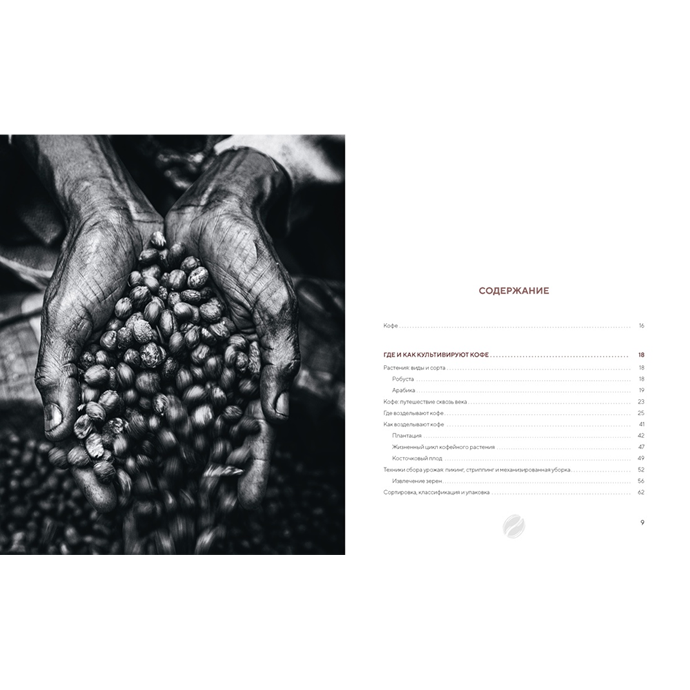 Книга "Философия кофе. От зерна до идеального напитка", Луиджи Оделло, Джованни Руджиери, Фабио Петрони